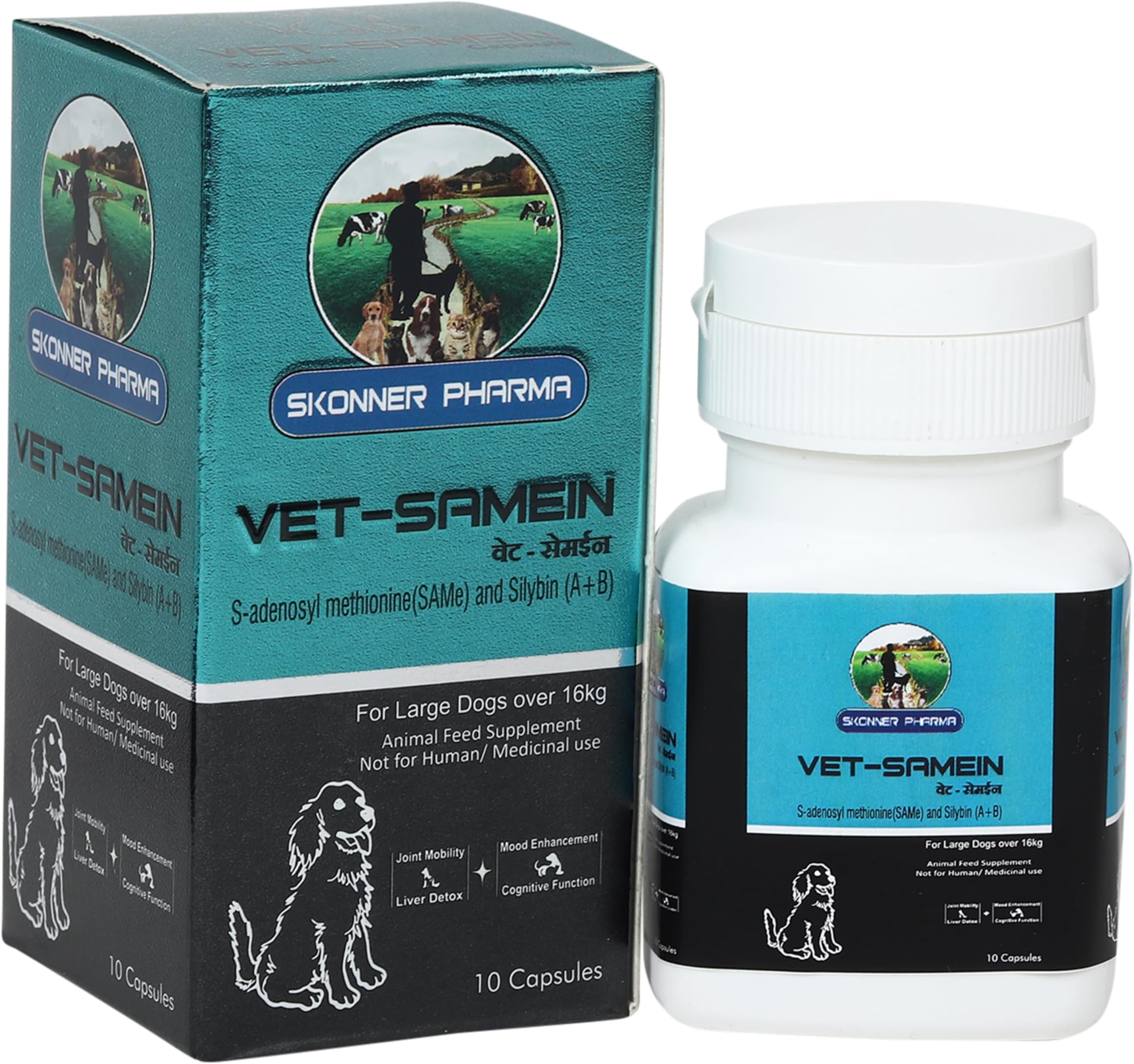 Vet-SAMEIN Dog Multivitamin Capsules Dog Supplement 10 Pieces for Dogs with Essential Vitamins & Minerals for Healthy Skin, Heart, Brain Function