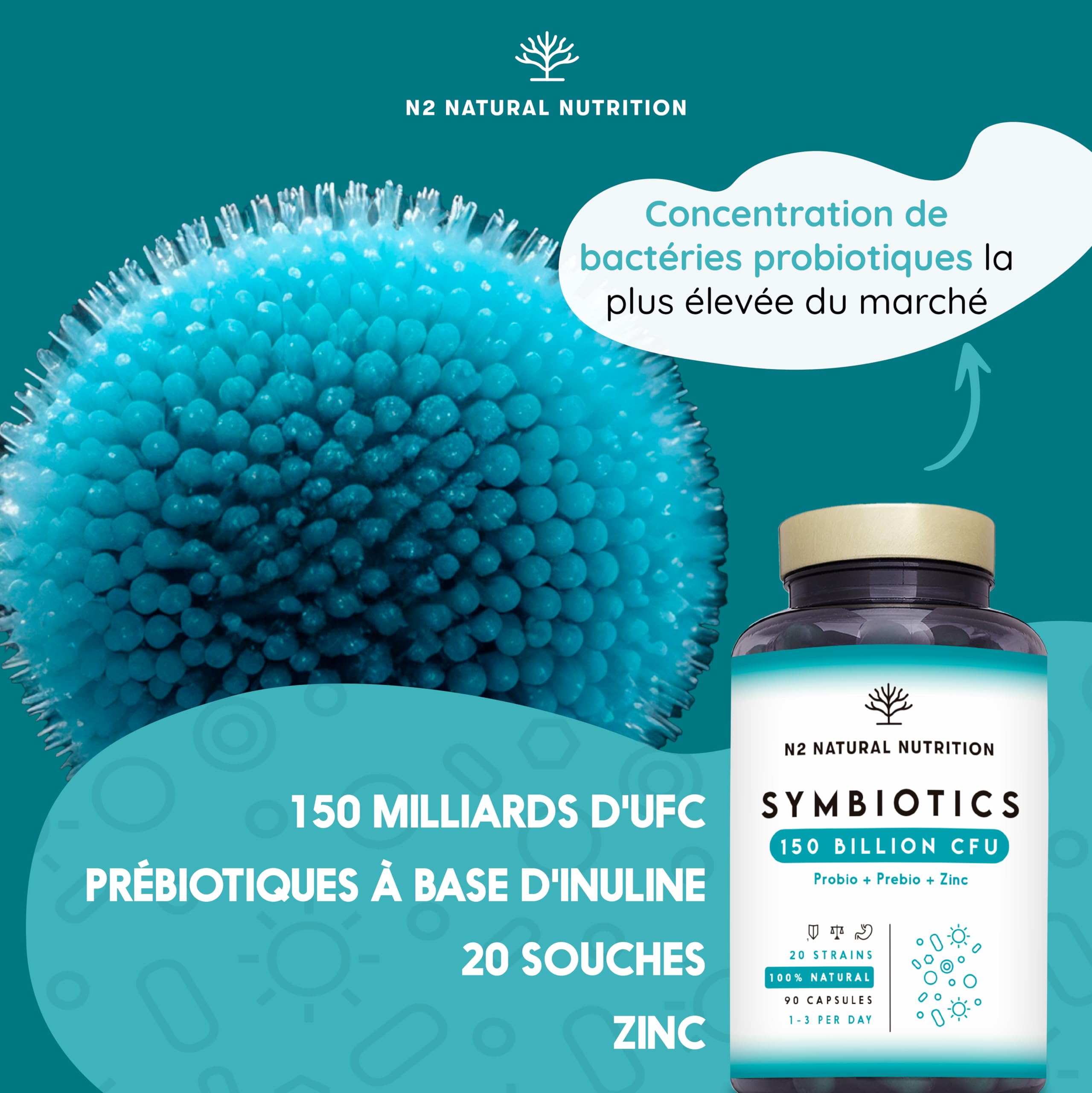 Probiotique Flore Intestinale 150 Milliards UFC, 20 Souches de Bactéries + Zinc + Inuline. Probiotiques pour la Régénération Digestive et Microbiote. 90 gélules, Végétalien. N2 Natural Nutrition