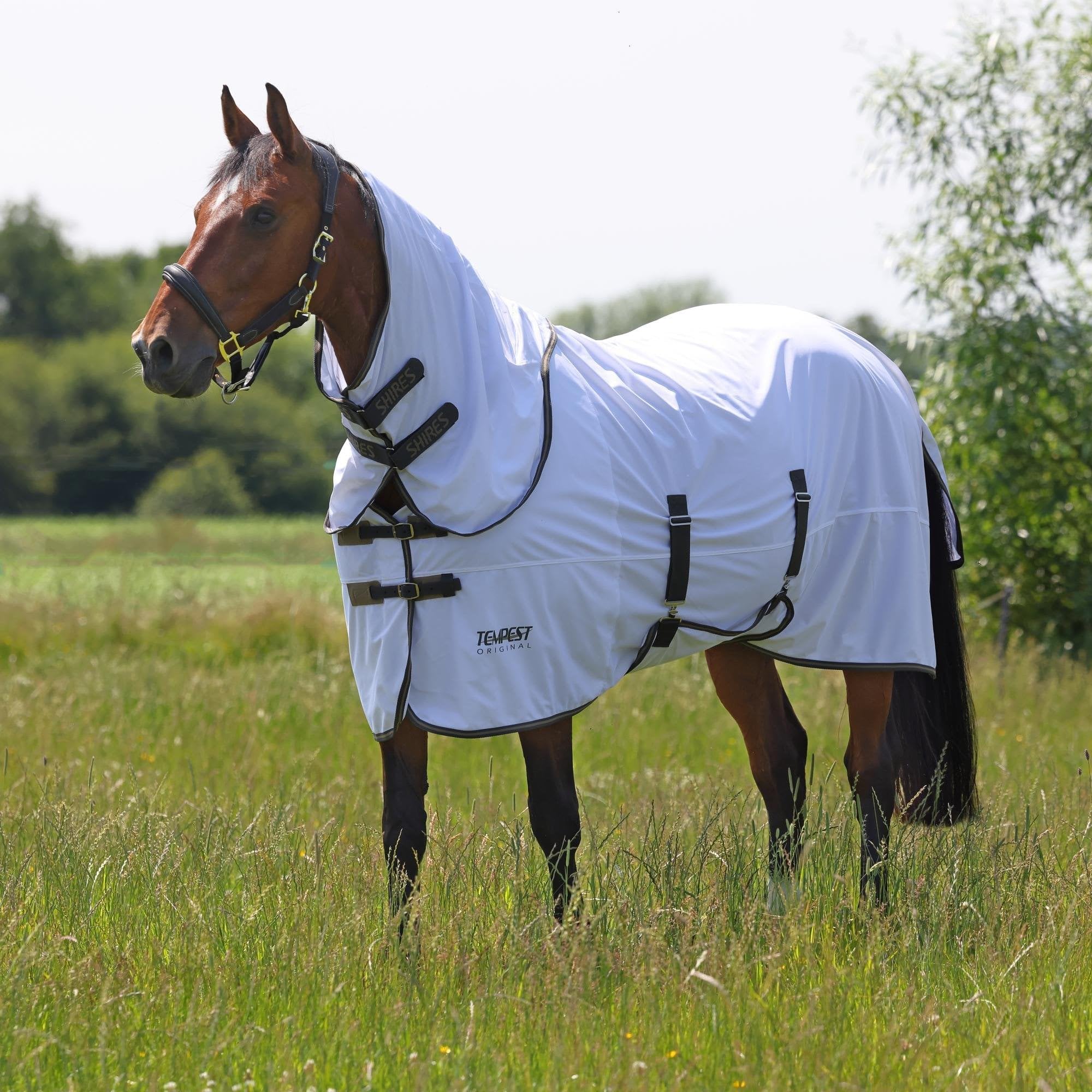 Shires Tempest Original Fly Rug & Neck Set - White/Grey