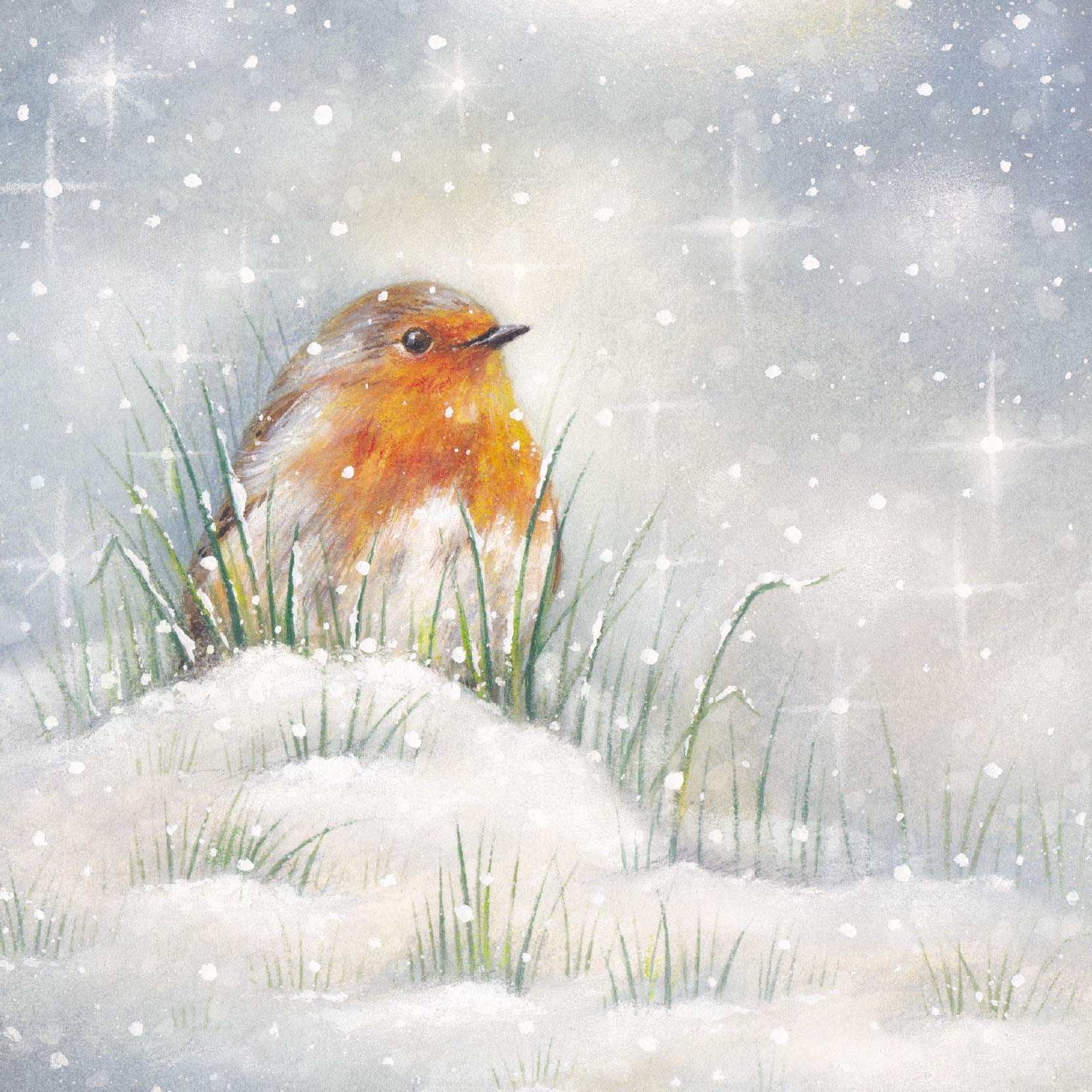 GBCC Medici Cards Lot De 6 Cartes De Noël Artistiques Caritatives