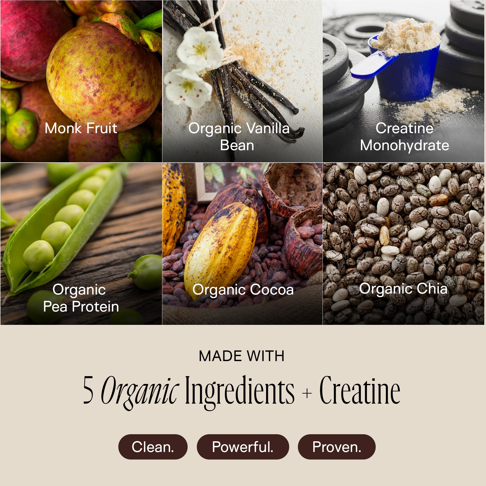 Happy Aging Protein Powder for Women, 20g Organic Pea & Pumpkin Seed Protein, 5g Creatine, Monk Fruit Sweetened, Organic Cocoa & Chia, Vegan Plant Based Protein