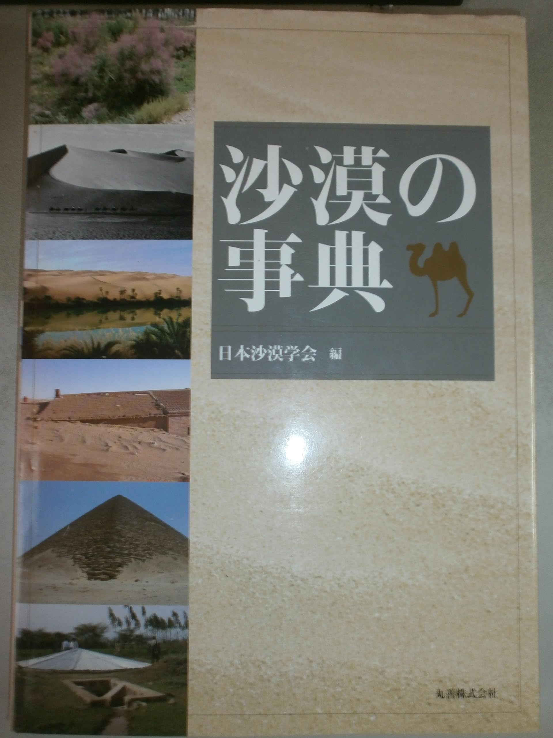 Amazon.co.jp: 沙漠の事典 : 日本沙漠学会: 本