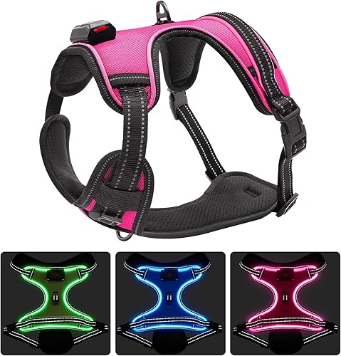 Arnés LED para perro, arnés duradero con luz, luz reflectante para perro, abrigo LED ajustable para perros pequeños, medianos y grandes (pequeño,