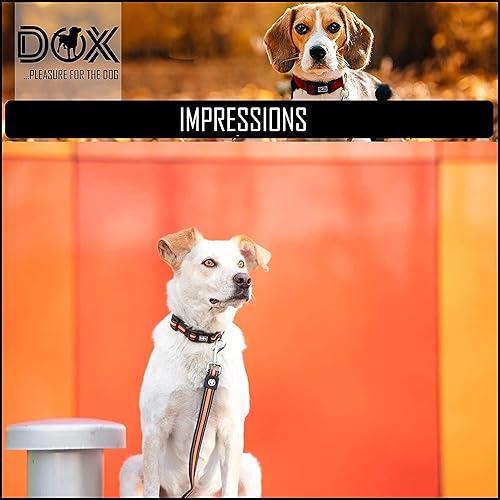 Miniatura 5 de DDOXX Collar de perro reflectante Airmesh - Collares fuertes y ajustables para perros - L (rojo)