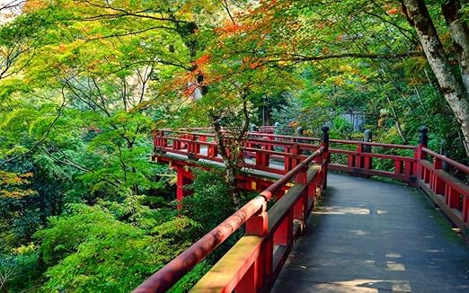 Amazon Co Jp 絵画風 壁紙ポスター 森 お宮 日本庭園 森林 森林浴 緑 紅葉 黄葉 目の保養 癒し 色彩 はがせるシール式 キャラクロ Snr 019w2 ワイド版 603mm 376mm 建築用壁紙 耐候性塗料 ホーム キッチン Amazon Co Jp 絵画風 壁紙ポスター 森 お宮 日本庭園 森林 森林浴 緑 紅葉 黄葉 目の保養 癒し 色彩 はがせるシール式 キャラクロ Snr 019w2 ワイド版 603mm 376mm 建築用壁紙 耐候性塗料 ホーム キッチン