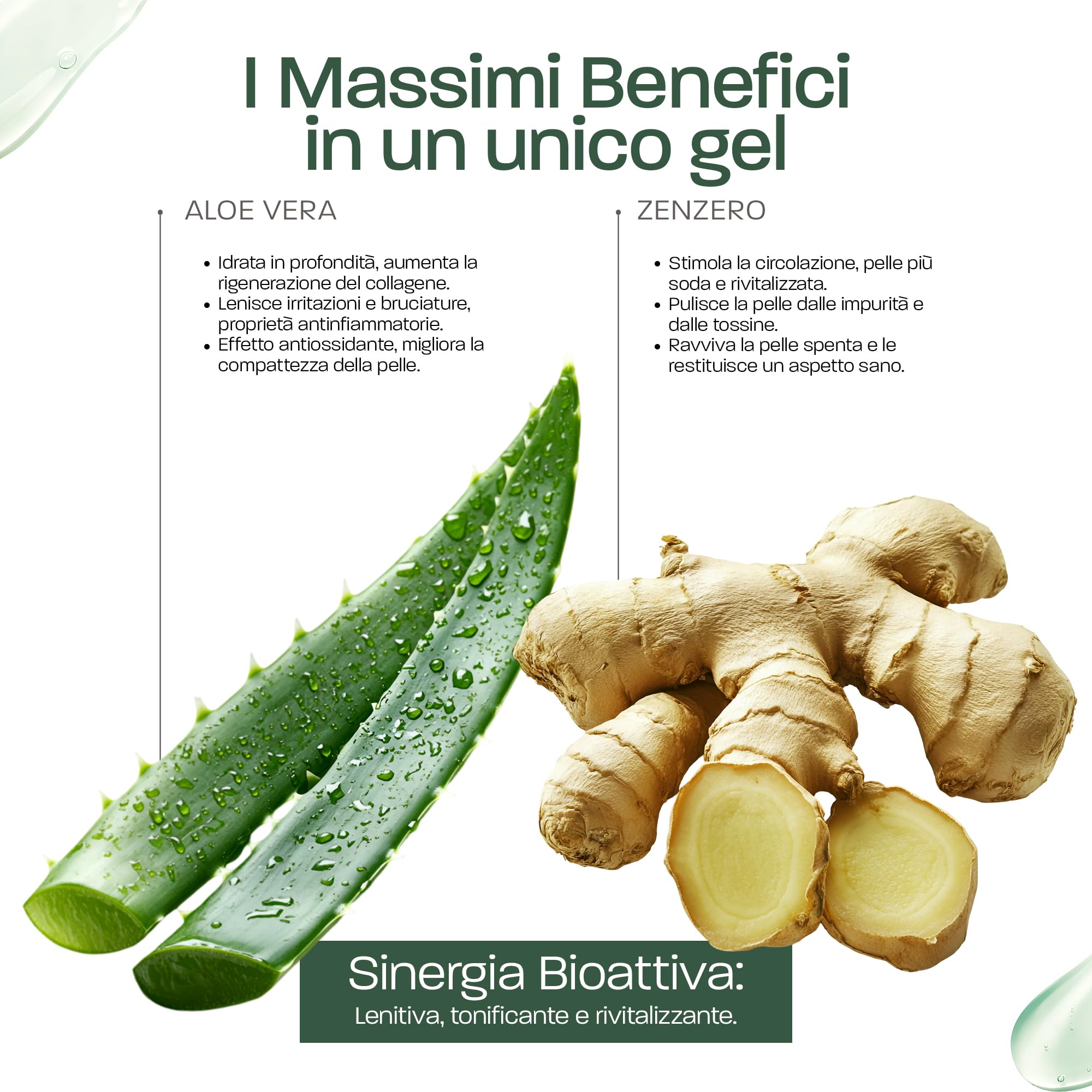 Gel Aloe Vera & Zenzero – Idratante, Tonificante e Rassodante – Con Aloe Fresco Biologico da Spagna – Per Viso, Corpo, Capelli – Doposole, Post Rasatura, Gambe Pesanti – Prodotto in Francia 5000 ml