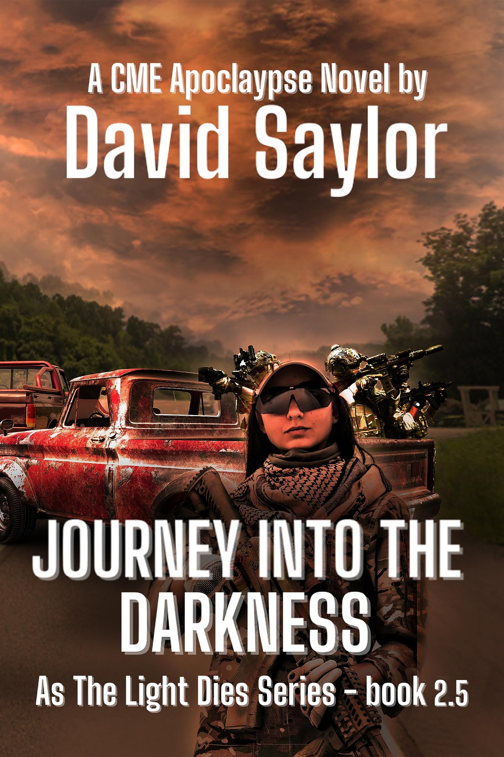 JOURNEY INTO THE DARKNESS (As The Light Dies Book 3)