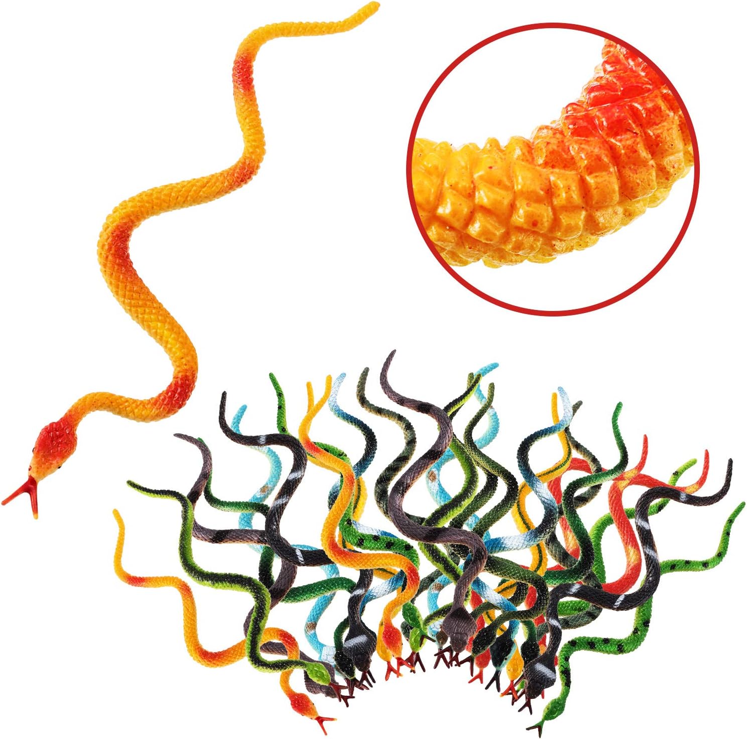 Buy Blulu 24 Pieces Plastic Snakes Rain Forest Snakes Realistic Rubber
