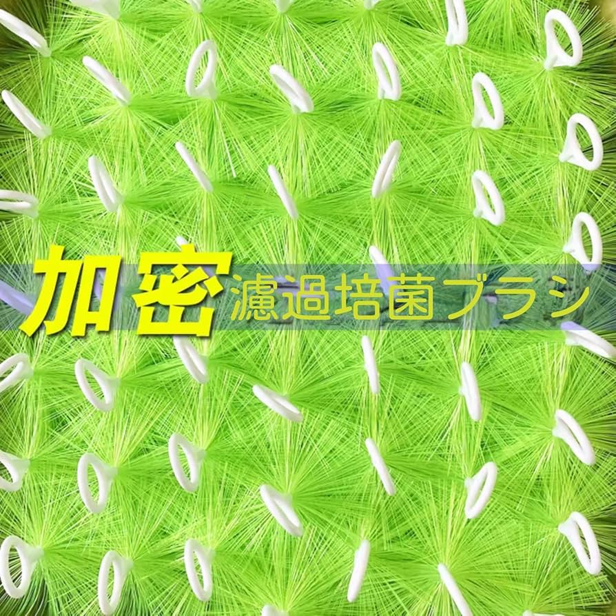 送料無料！格安！ロールブラシ6本　錦鯉　アクアリウム　金魚　濾過層 Amazon | Lanx. ロールフィルター ロールブラシ ろ材 30cm 黒