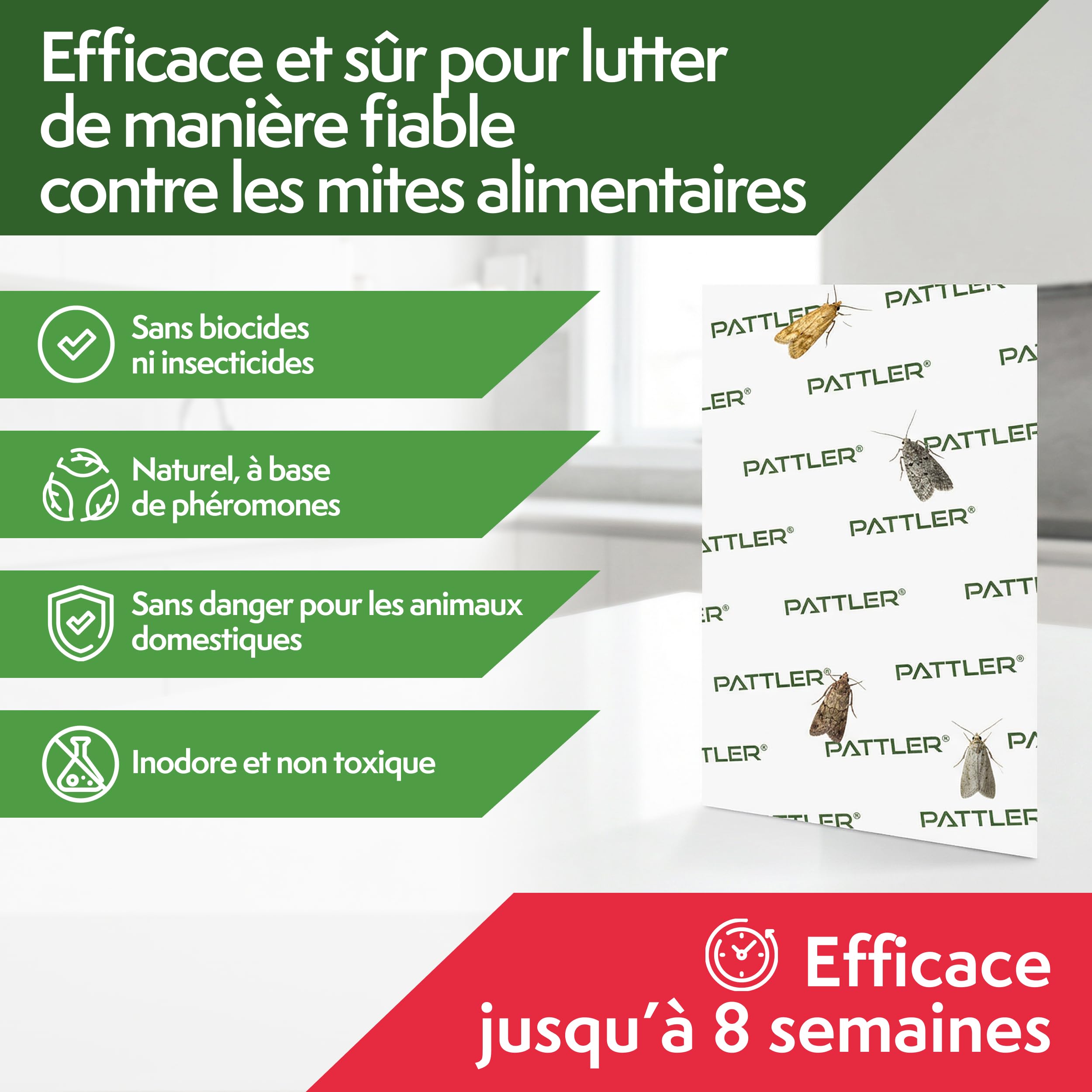 PATTLER Piege Mites Alimentaires Puissant à phéromone – 12 Pièces. Anti Mites Alimentaires sans Insecticide pour Garde-Manger et Cuisine. Capture e Contrôle des Infestations de Mites Alimentaires.