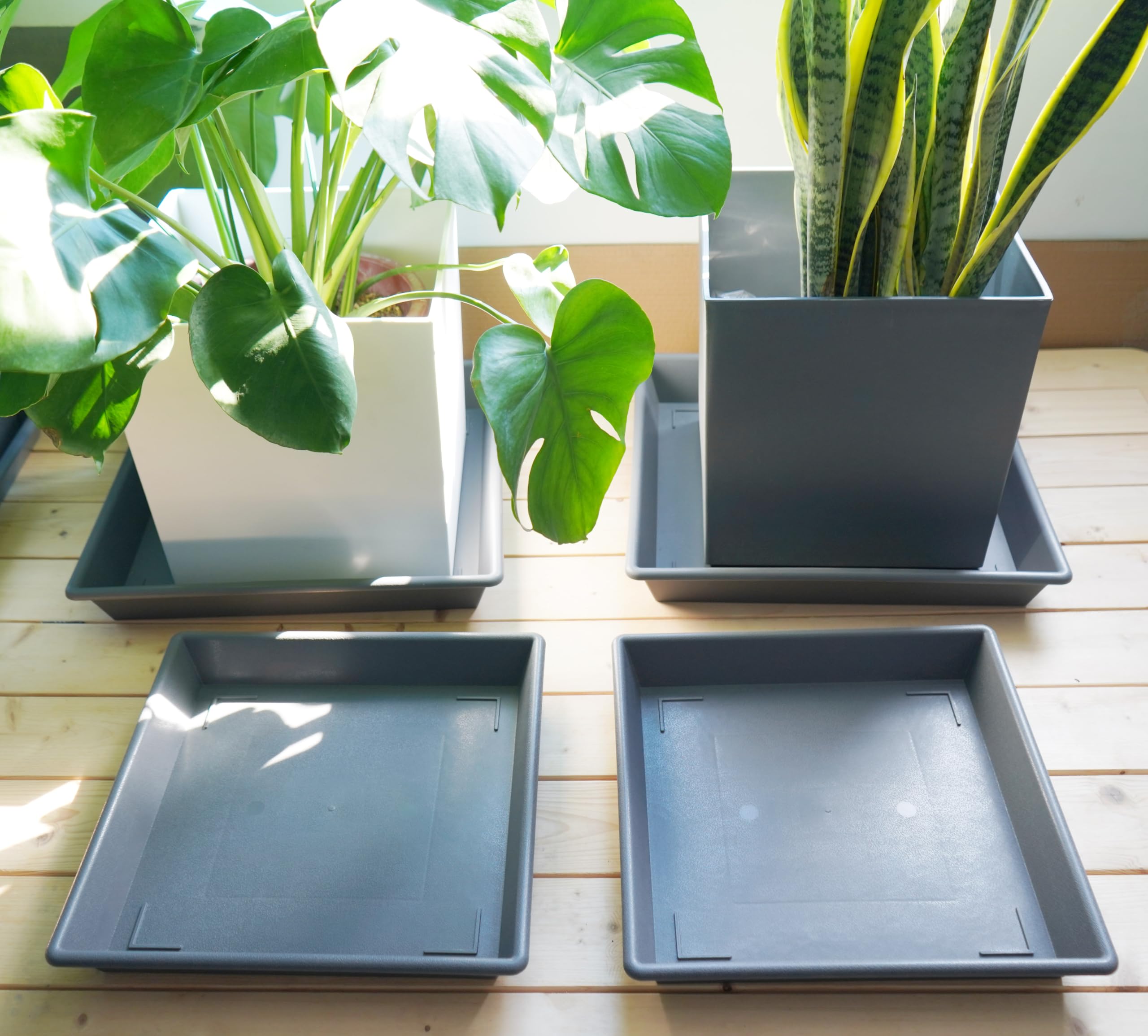 2個 NEIGHBORHOOD ネイバーフッド SRL PLANT TRAY Amazon.com : NIMYAU Square Plant Saucer 18 Inch 2 Pack, Large