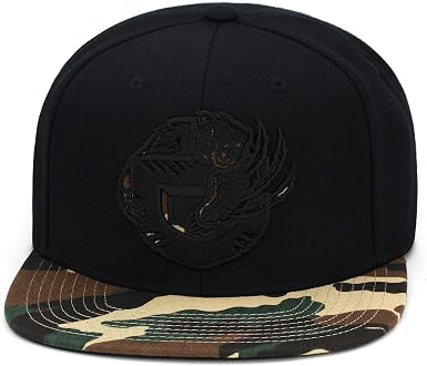 Ness Vancouver Grizzlies Snapback Hat 
