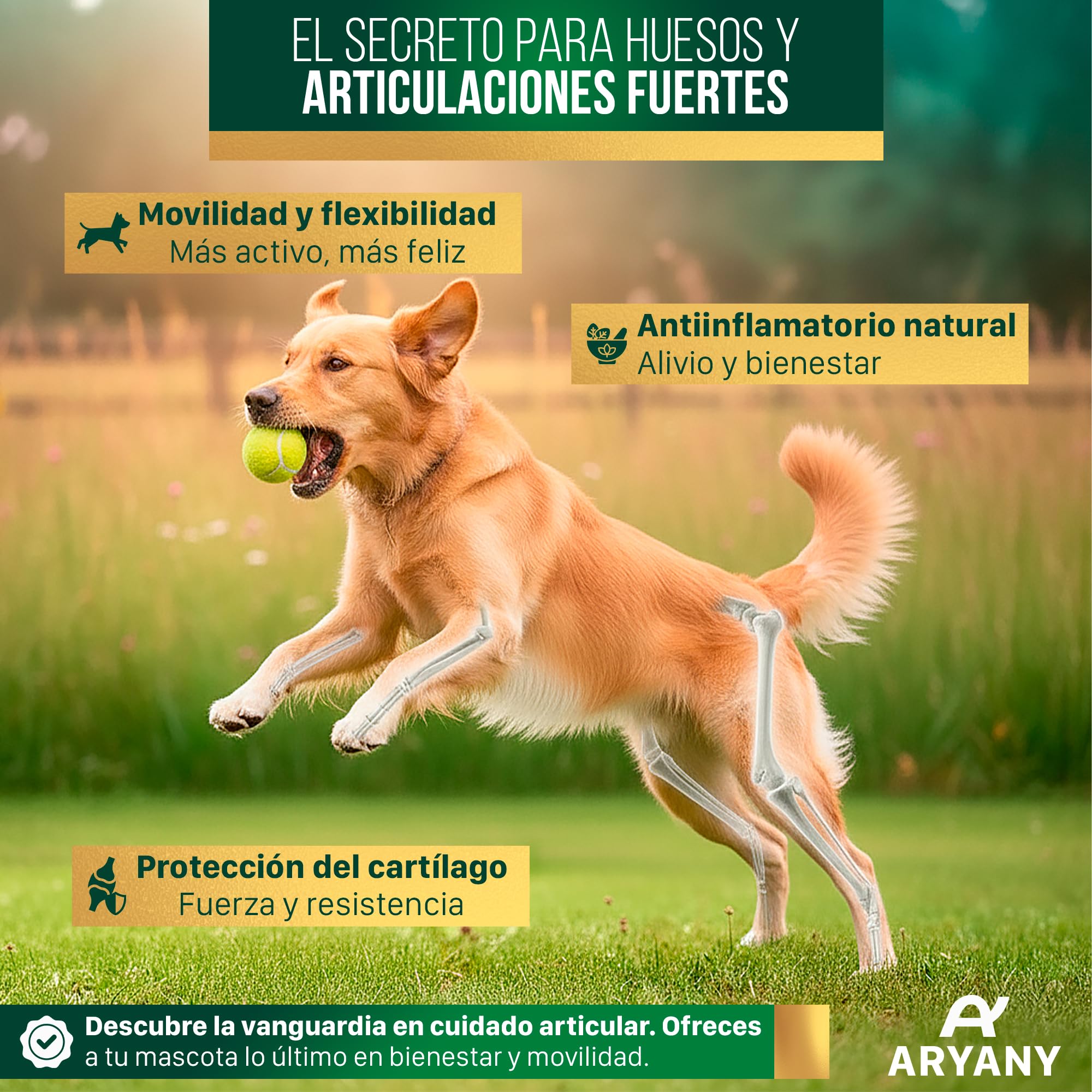 ARYANY Condroprotector Perros Snack Masticable (60 Uds) - Fórmula Premium de Alta Concentración: Glucosamina 200mg, Condroitina, MSM 200mg, Ácido Hialurónico, Colágeno - Antiartrosis
