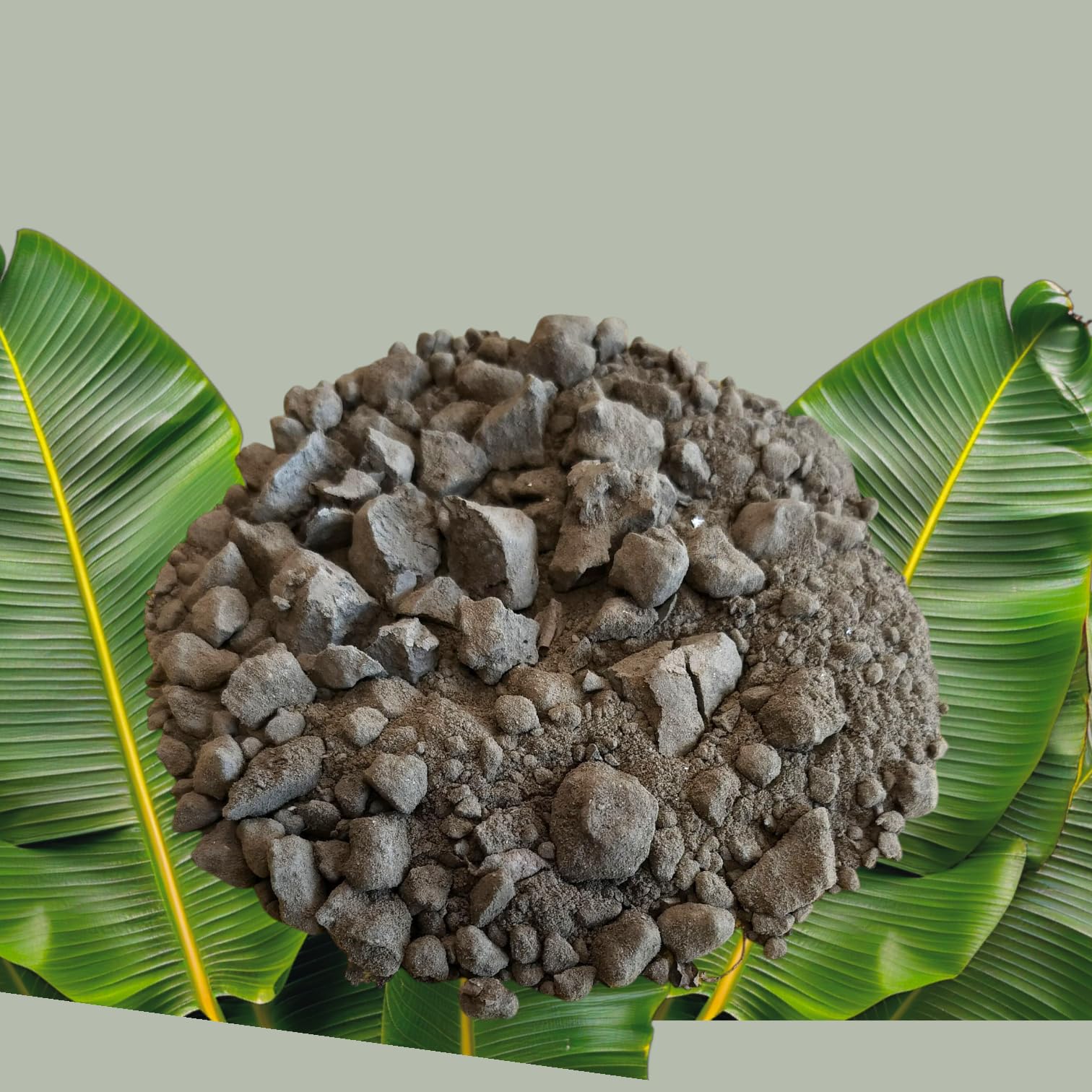 Pooja Ghar Ganga Soil for Puja – Gachwala Pavitra Ganga Mitti (450 gm) | Pure Sacred Soil from The River Ganges | Ideal for Hindu Rituals, Pooja, Havan, Astrology Hindu Festival Used& Idol Making-image-6