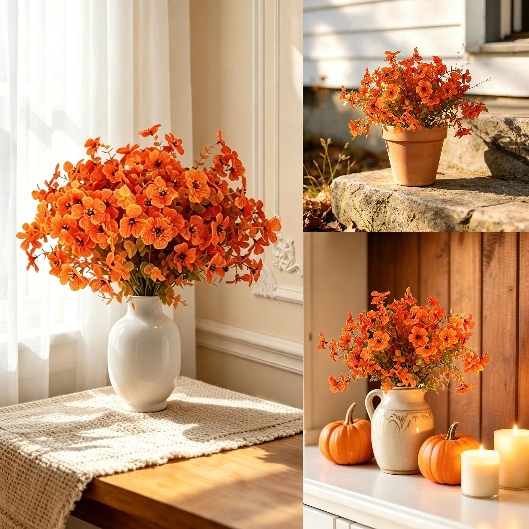 View 5