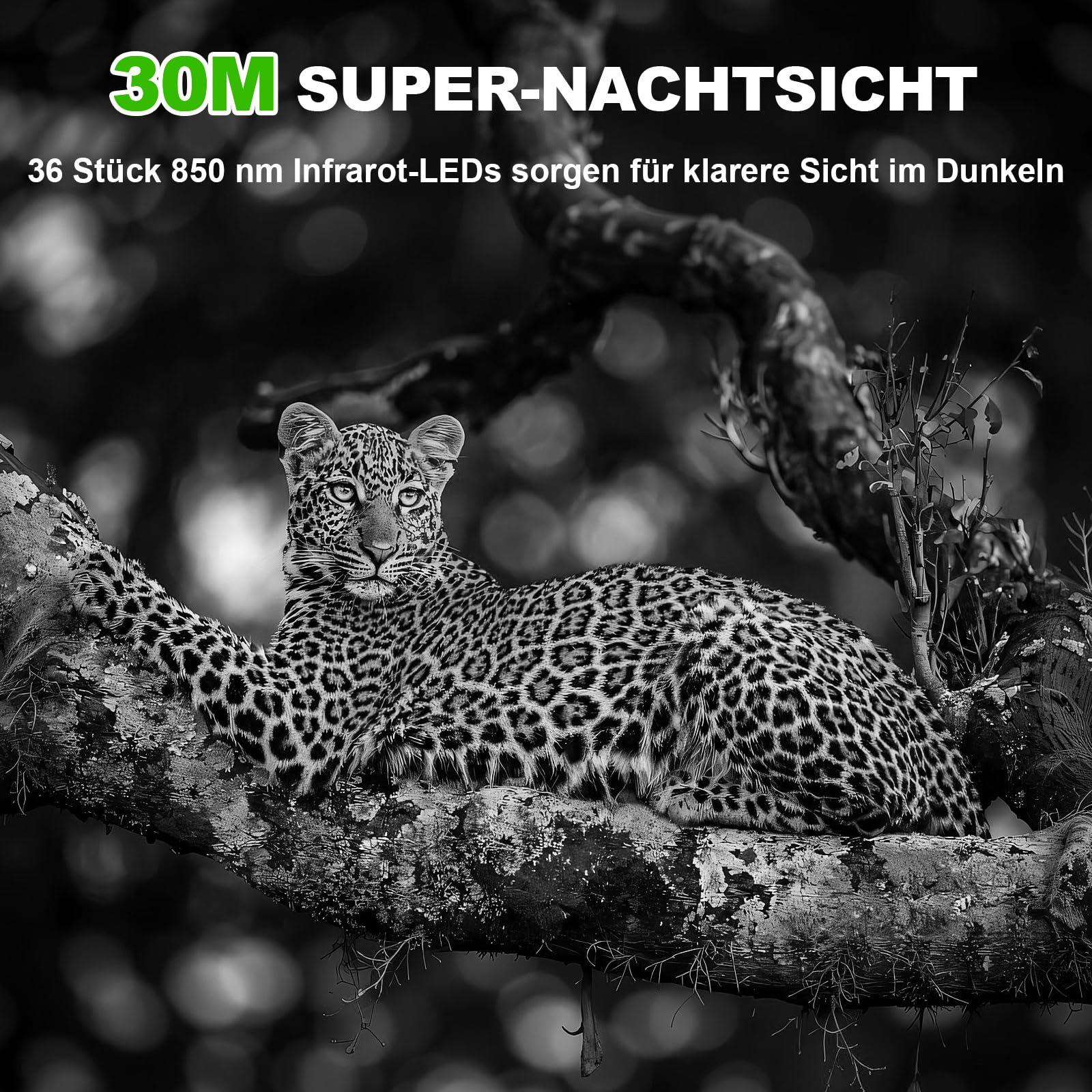 Wildkamera mit Handyübertragung App, 5K Video 60MP Full HD WLAN Bluetooth Wildtierkamera Nachtsicht Bewegungsmelder 0,1s Auslösezeit IP66 Wasserdicht 32GB Speicherkarte AA-Batterien