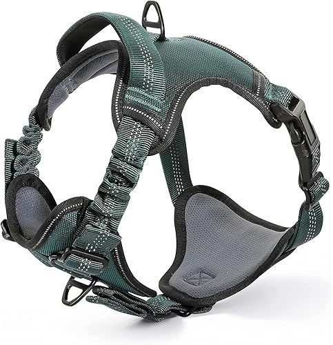 rabbitgoo Arnés para perros medianos sin tirones arnés mejorado a prueba de escapes exclusivo para proteger el cuello superficie de nailon duradera