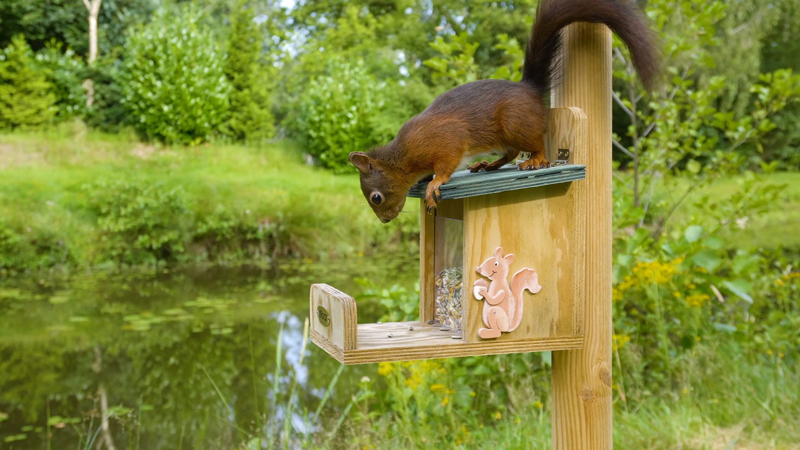 Luxus-Insektenhotels, casetta per scoiattoli di Alta qualità