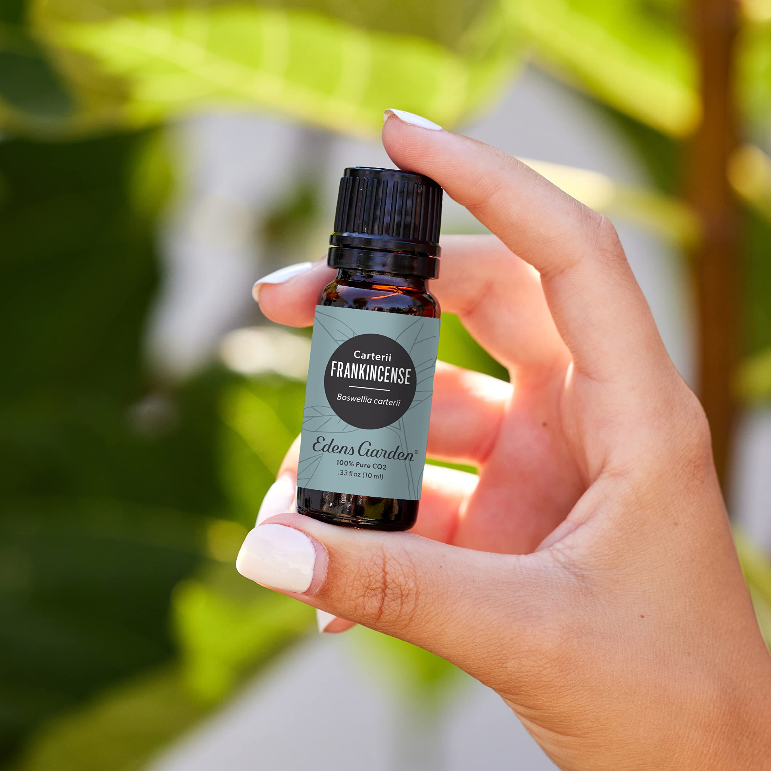 Amazon.com: Edens Garden Frankincense CO2 Essential Oil- 100% Pure
