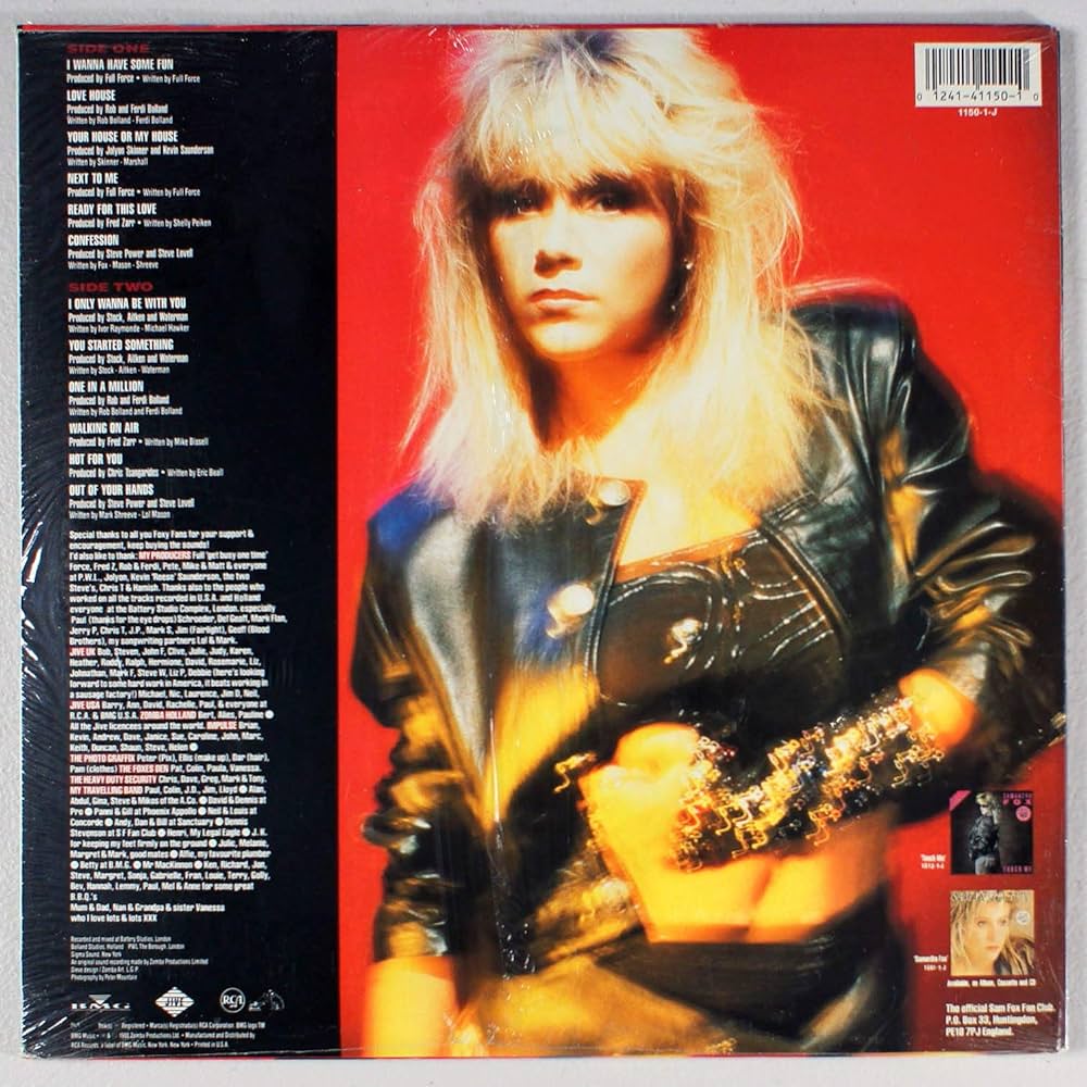 LP Samantha Fox I Wanna Have Some Fun ALI28113PROMO JIVE プロモ /00260 LP Samantha Fox I Wanna Have Some Fun ALI28113PROMO JIVE
