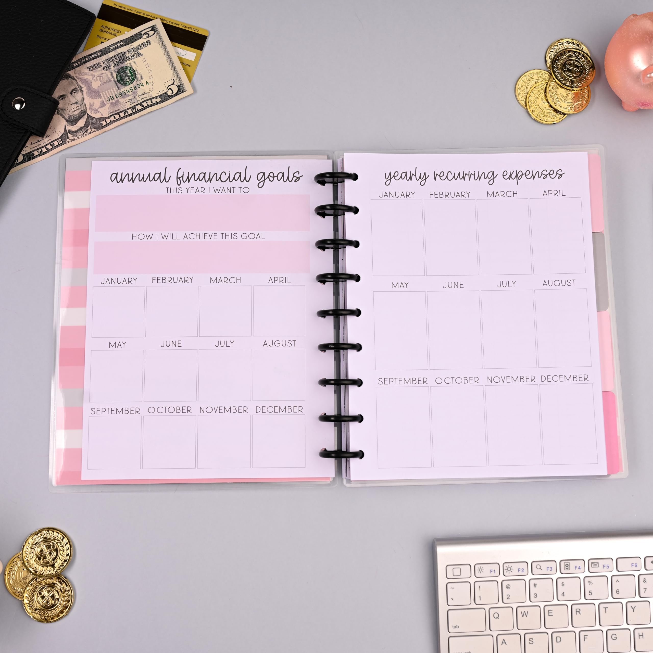 kellofaplan Budget Planner Bundle con Budget Basics Sticker Book e Cash Envelope Notebook, 12 mesi senza data, 15 buste trasparenti per contanti, rilegatura a disco