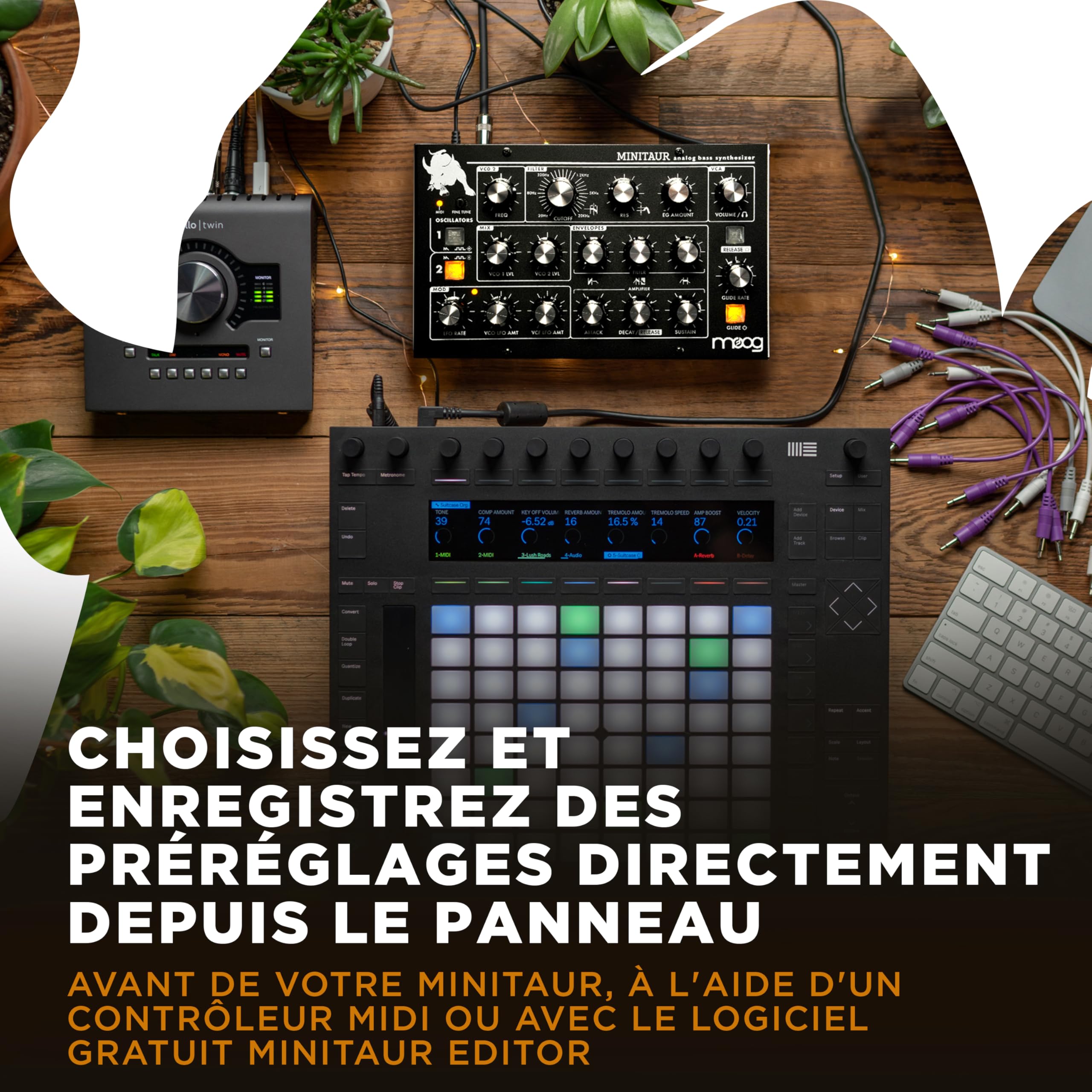 MOOG Minitaur Module Synthétiseur de Basses Analogique avec Amplificateur pour Casque, 128 Préréglages et Éditeur Logiciel