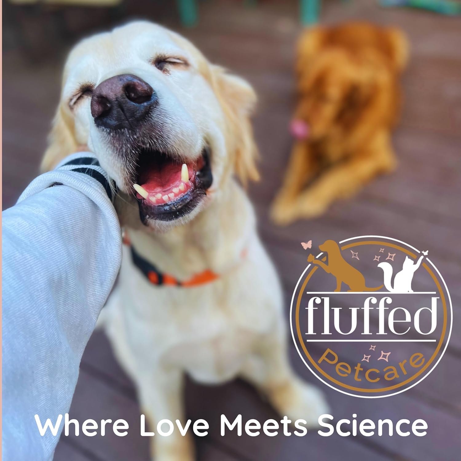 Glucosamine for Dogs - Beef Flavor Senior Dog Glucosamine Chondroitin Chews, 60 Count, Supports Hip & Joint Health, MSM, Turmeric, Collagen, Large Dog Supplement, 180g