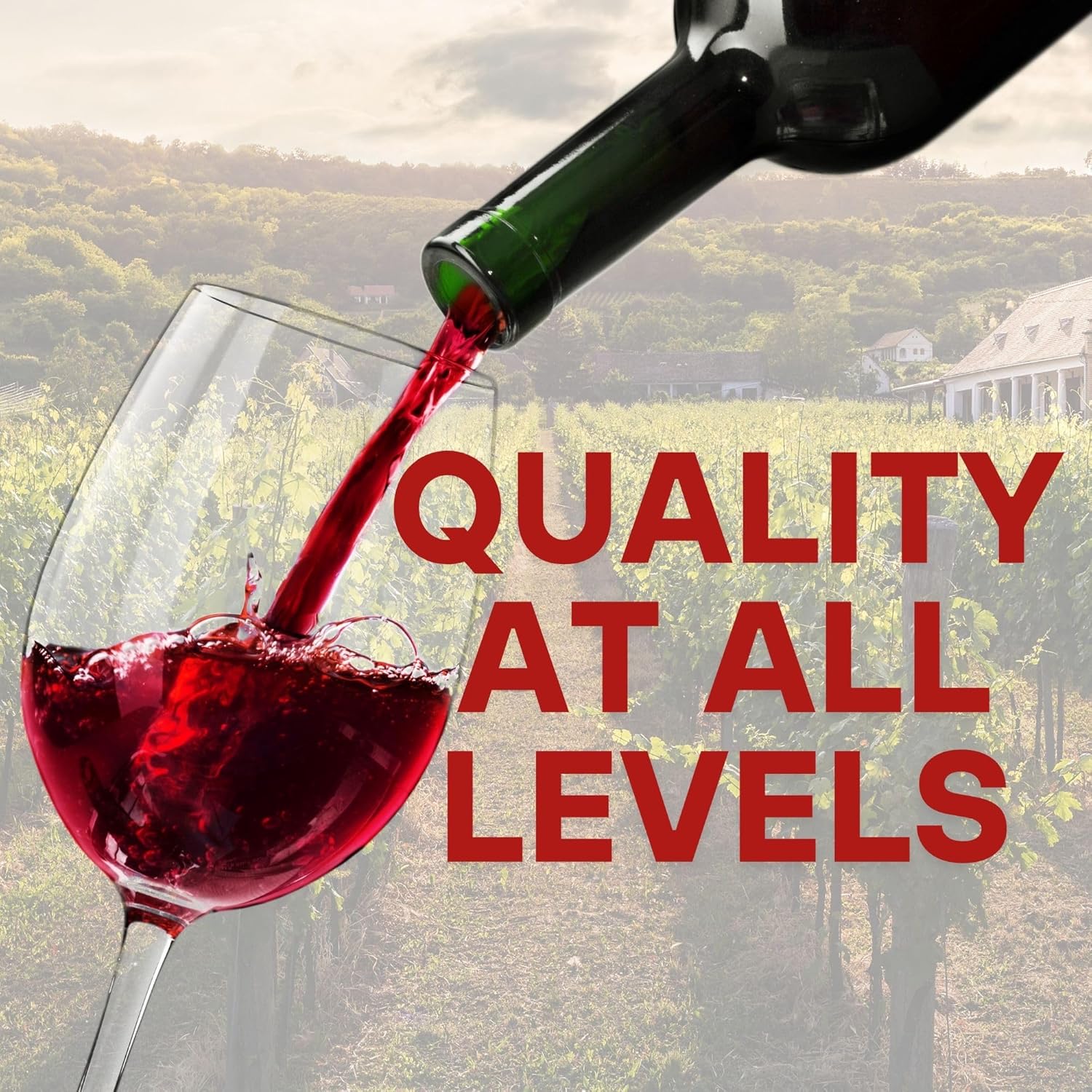 Master Vintner™ Winemaker's Reserve™ Cabernet Sauvignon Wine Recipe Kit Makes 6 Gallons