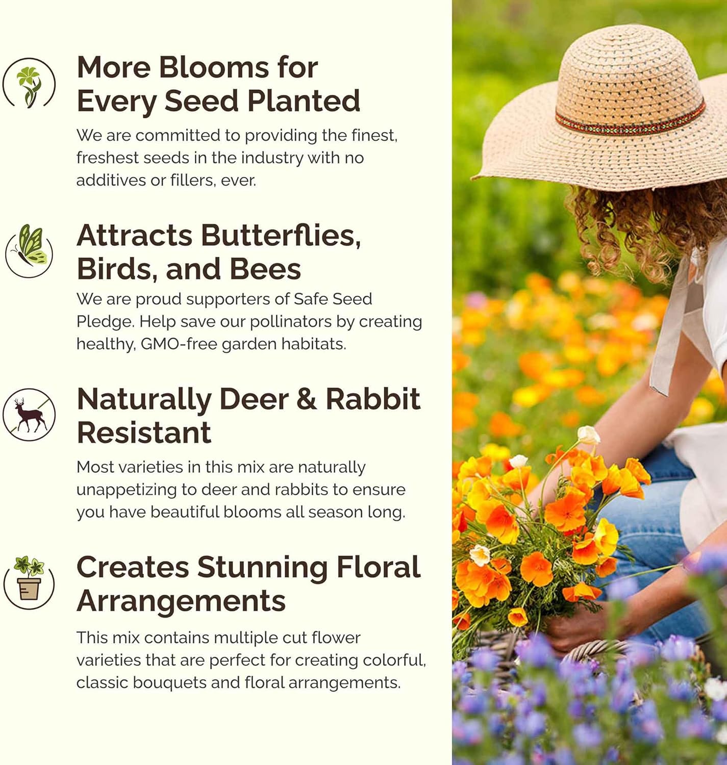 Eden Brothers California Dreaming Flower Mixed Seeds for Planting, 1 lb, 480,000+ Seeds with 4 Easy to Grow Varieties | Attracts Pollinators, Plant in Spring or Fall, Zones 3, 4, 5, 6, 7, 8, 9, 10