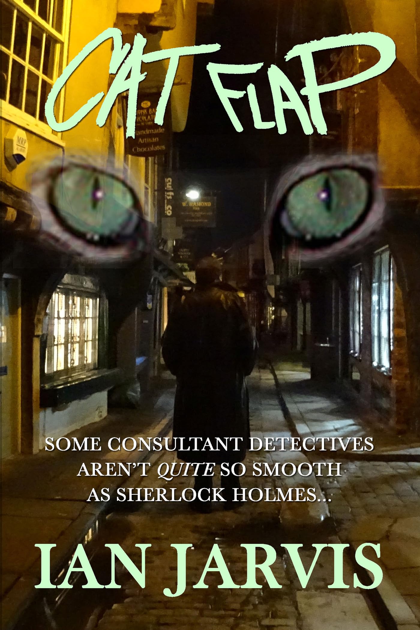 Buy Cat Flap (Bernie Quist Book 1) — BookShops.in