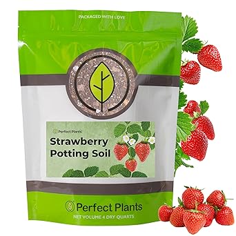 Perfect Plants Organic Strawberry Potting Mix | Organic Premium Mix
