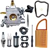 C1Q-S183 BR600 Carburetor Kit with 4282 141 0300 Air Filter Kit For Stihl BR500 BR550 BR600 BR700 BR 500 550 600 700 Backpack Leaf Blower Replaces Zama C1Q-S183 4282-120-0606 Parts