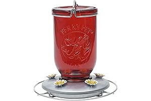 Glass Hummingbird Feeder