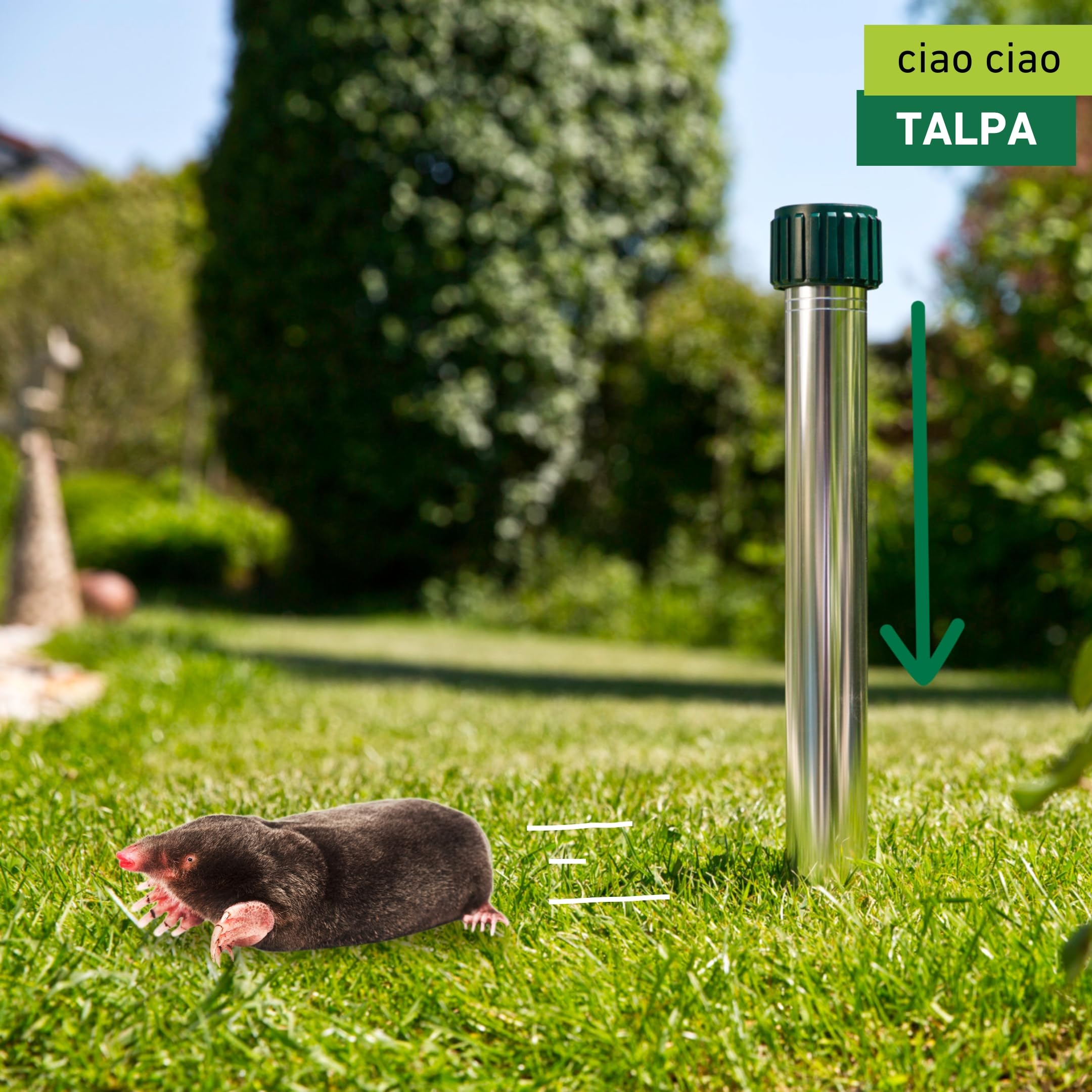 Windhager espulsore di vole PREMIUM, Repellente della mole, repellente della talpa, difesa della talpa, superficie efficace ca. 900 m², 02135