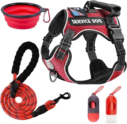 Chaleco de servicio para perro, arnés y correa para perro, arnés ajustable Oxford reflectante con asa para entrenamiento al aire libre, fácil