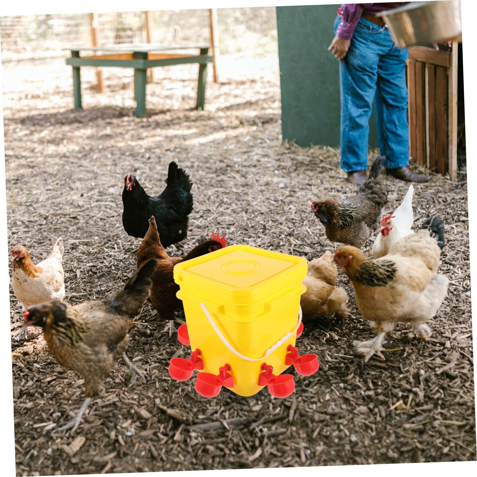 GALPADA Mangiatoia Automatica Scomparti Multipli in PE Giallo 12l per Pollame Facile da Pulire e Riutilizzabile per Alimentazione All'aperto di Galline e Pulcini