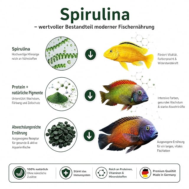 Foto 4 de 8 de Comida para peces cíclidos africanos - African Cichlid Spirulina Pearls 80g