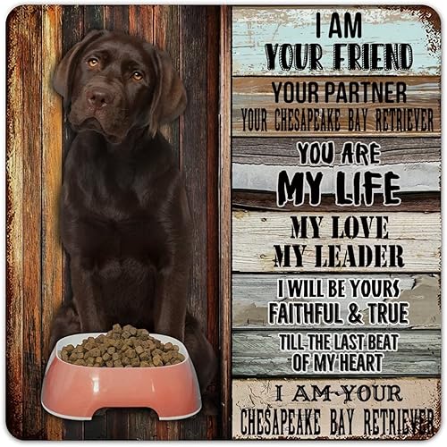 Cartel de metal divertido con texto en inglés Your Friend Your Partner Your Chesapeake Bay Retriever, póster de metal para decoración de pared para