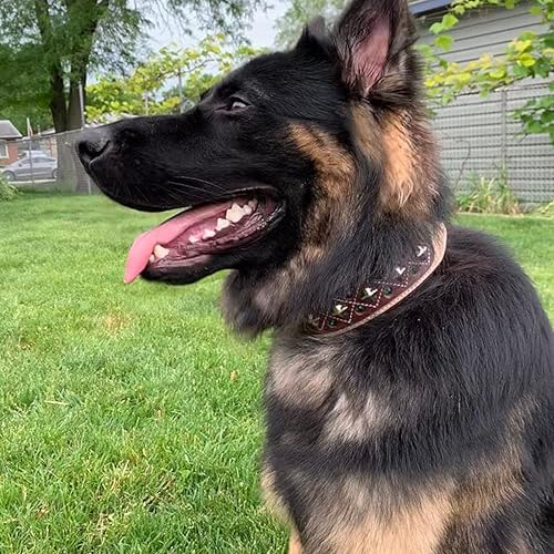 Miniatura 3 de Darlington - Collar de cuero de lujo de 2 pulgadas de ancho para perros XXL, gamuza suave acolchado hecho a mano con cristal y diseño occidental