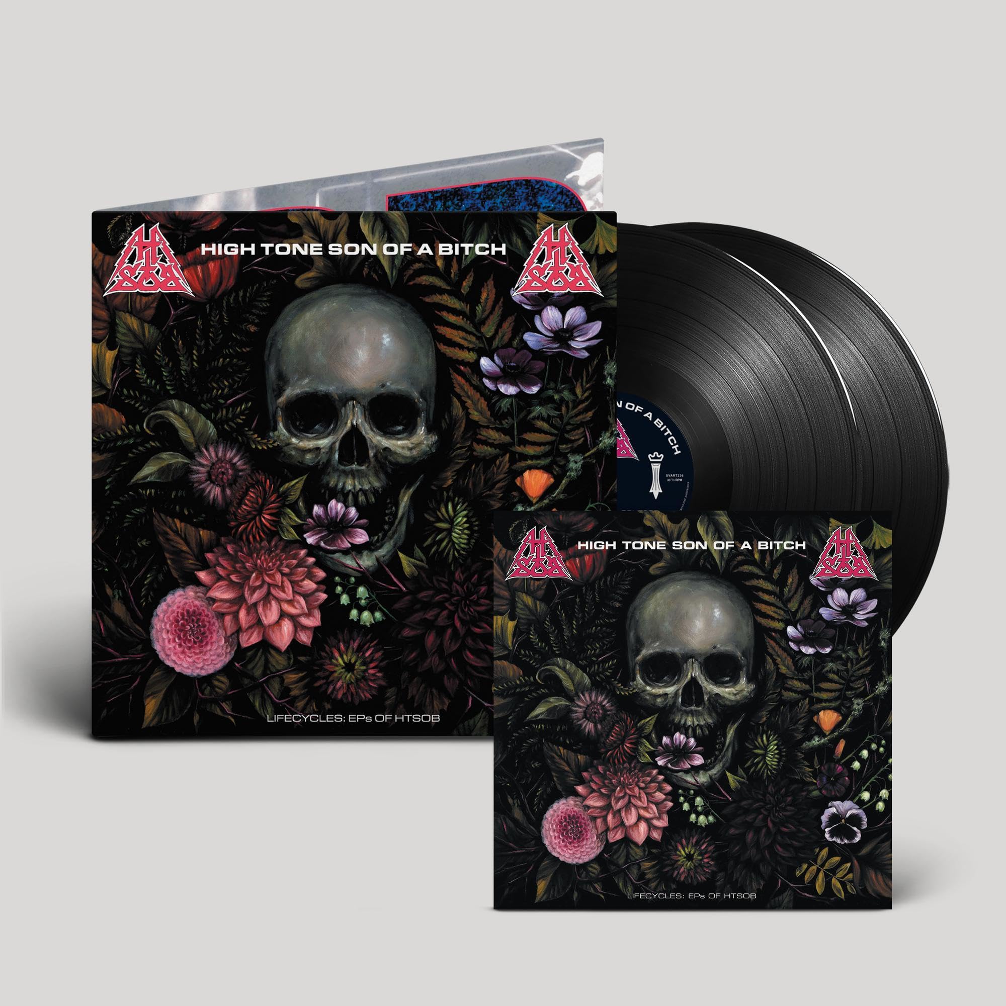 Lifecycles [VINYL]