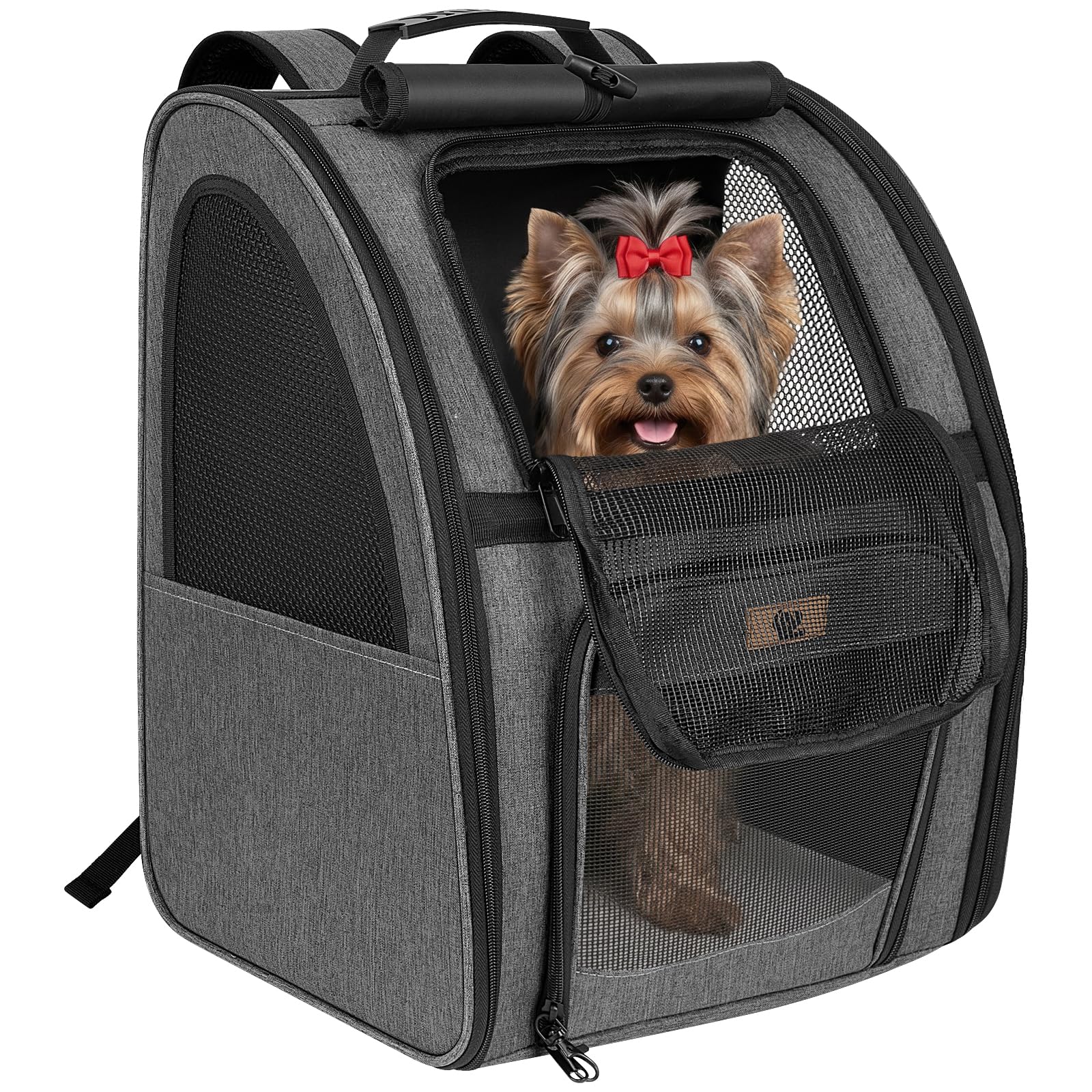 Aystkniet Katzenrucksack & Hunderucksack bis 10kg, Große Haustier Transporttasche mit 270° Belüftung, 3 Öffnungen, Faltbar, Atmungsaktiv für Reisen, Wandern, Flugzeug & Tierarzt