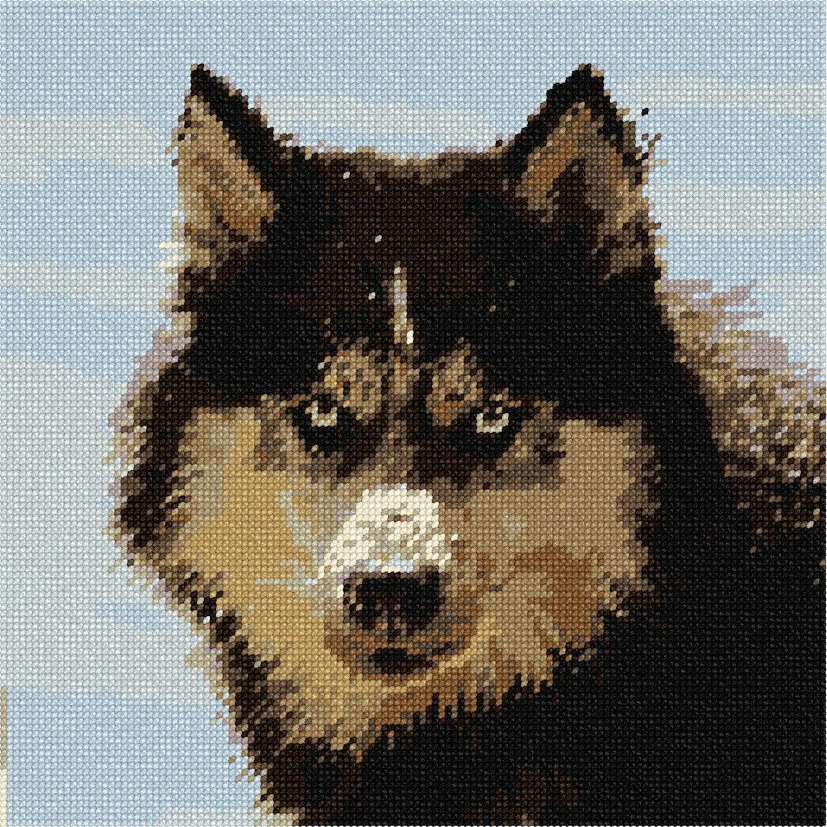 Pepita Needlepoint kit: Siberian Husky, 10" x 10"