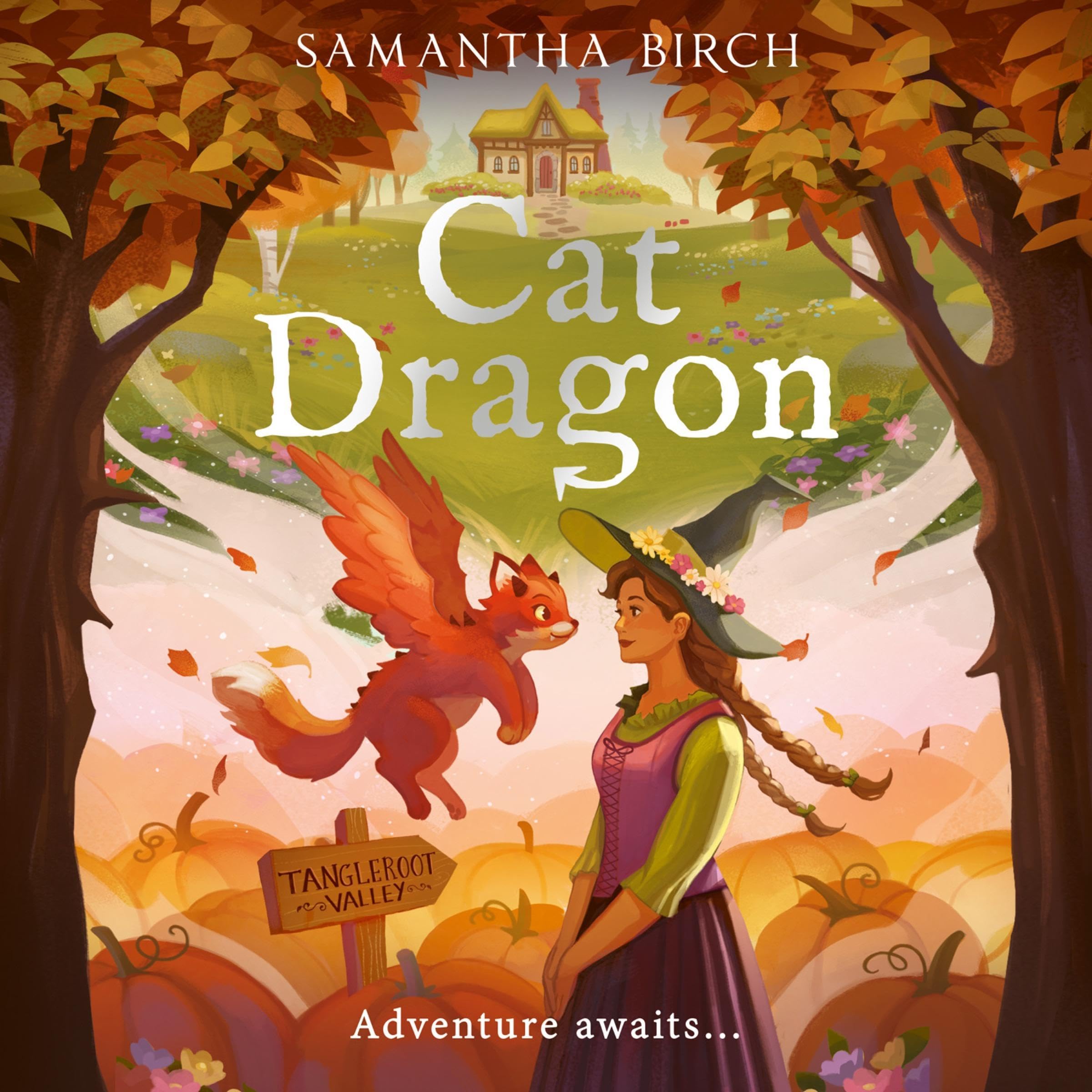 Cover art for Cat Dragon