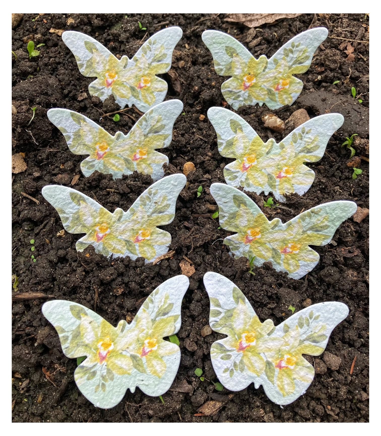 20 Seed Paper Butterflies. Plantable Wildflower Shapes. Green Botanical DIY Wedding Favours. Seeded Card Making Embellishment. Funeral Memorial, Plant in Memory. Thank You Teacher Gifts