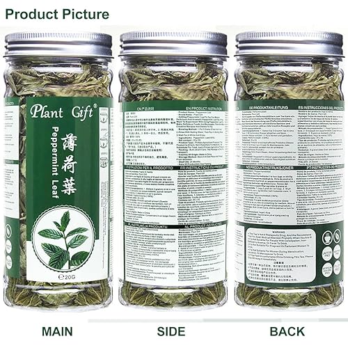 Miniatura 8 de Plant Gift Té 100% menta, té de menta, hojas de menta, té saludable, bolsas de té de menta orgánica, flor saludable, té de menta 0.7 onzas