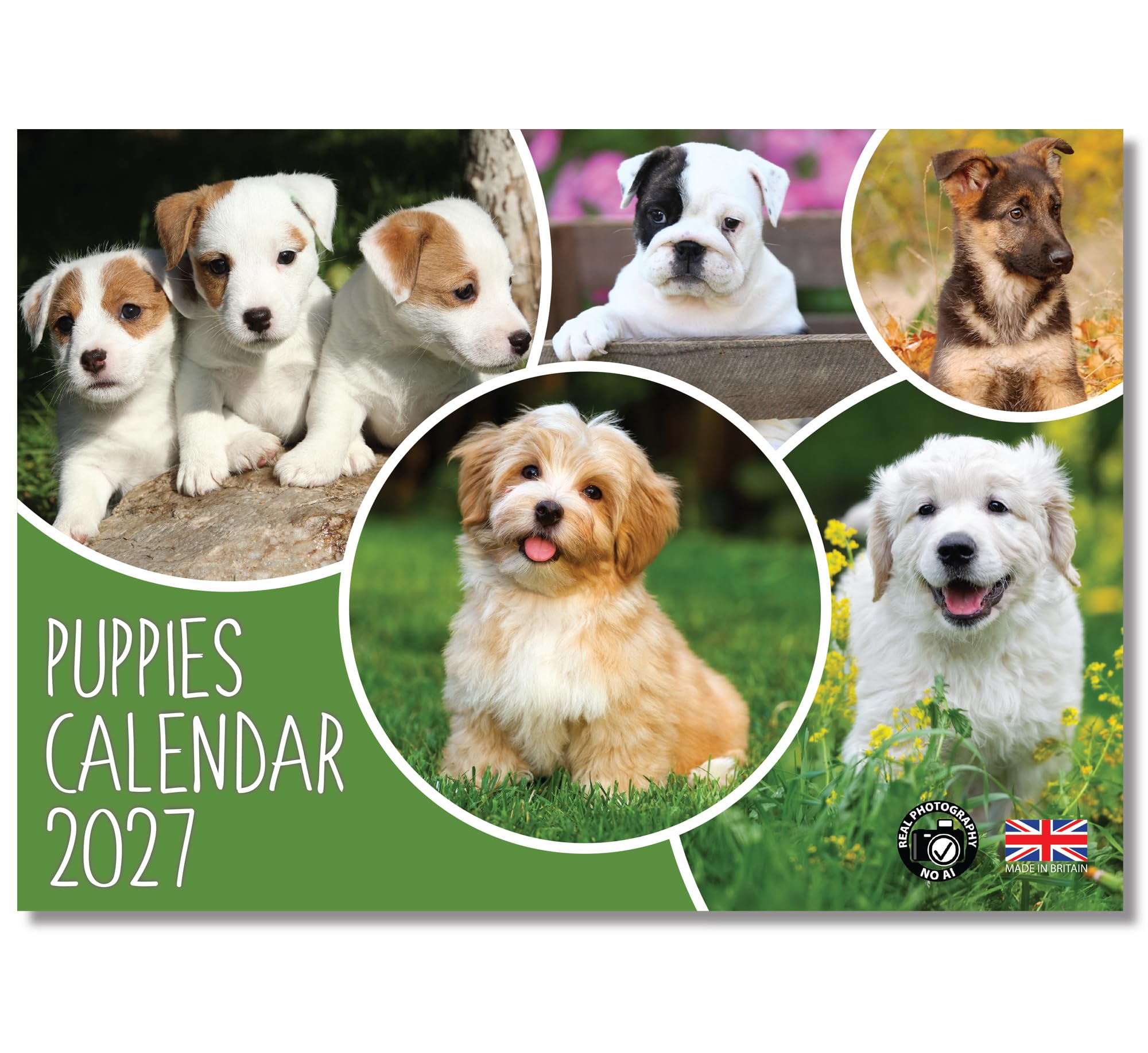 2027 A4 Puppies Calendar. One Month to View. A3 when open. Dogs Wall Calendar by Absolutely Yours.