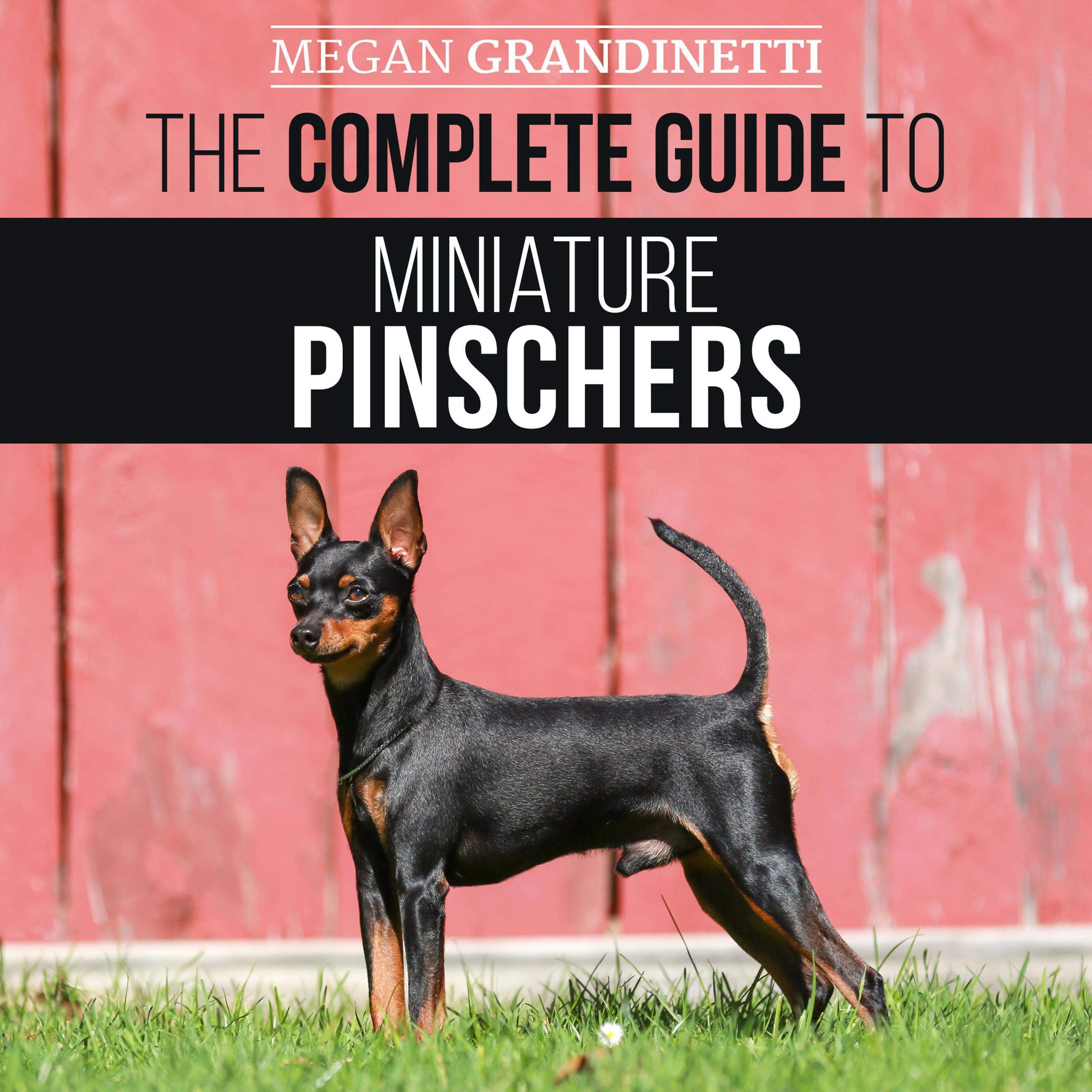 The Complete Guide to Miniature Pinschers