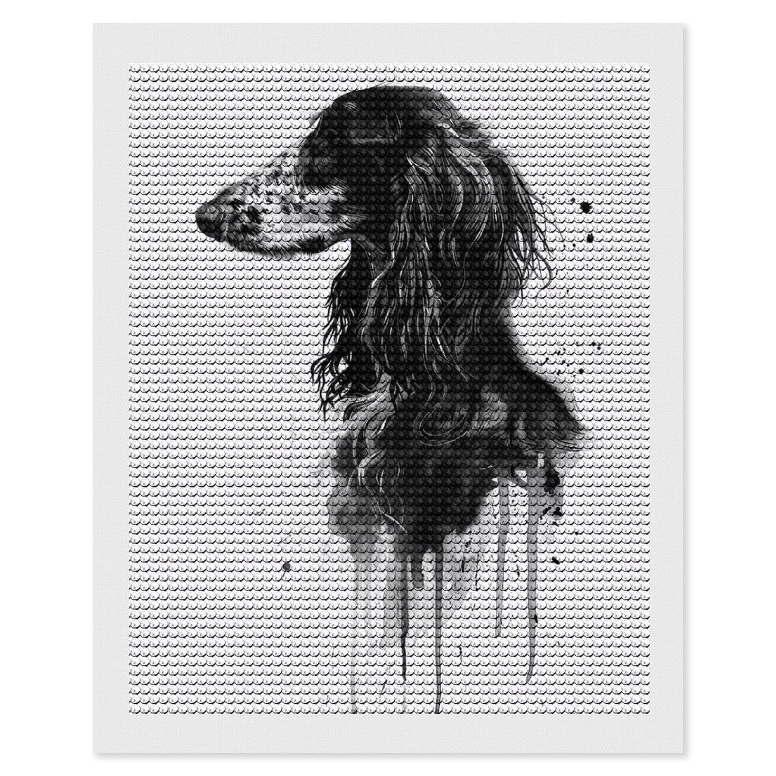 Junmoney Afghan Hound Watercolor Diamond Painting Canvas Kit 16"x20", Leisure Activity, Aesthetic Room Decor, with Tool Kit, DIY, Gift