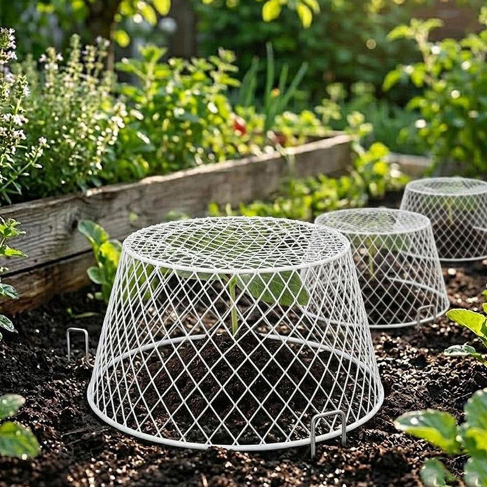 Cloches d'extérieur en maille de fer, 10 pièces, 20,5 x 15 x 10,5 cm, clôtures de protection pour jardin, parterres de fleurs et protection de jeunes végétations