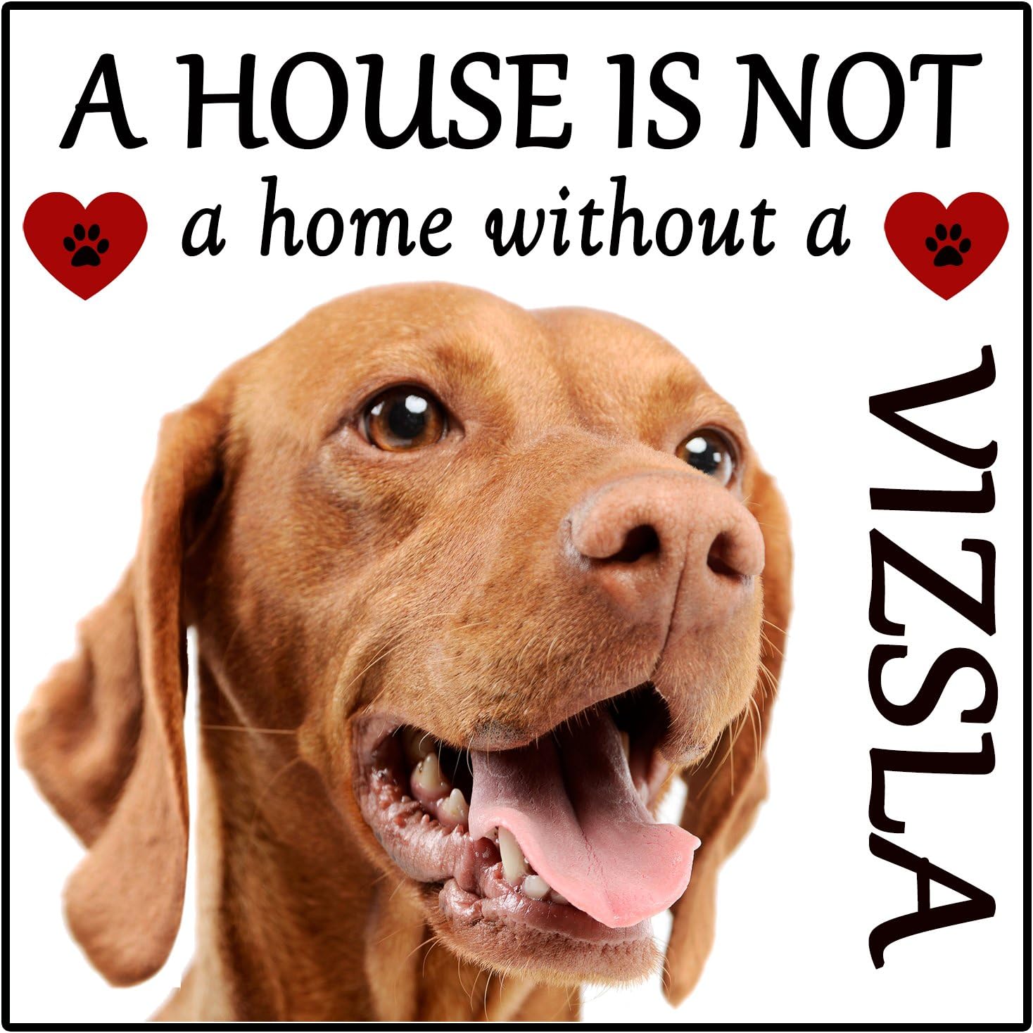 Hungarian Vizsla Dog Gift"House is not a Home" Fridge Magnet, size 5" x 5".